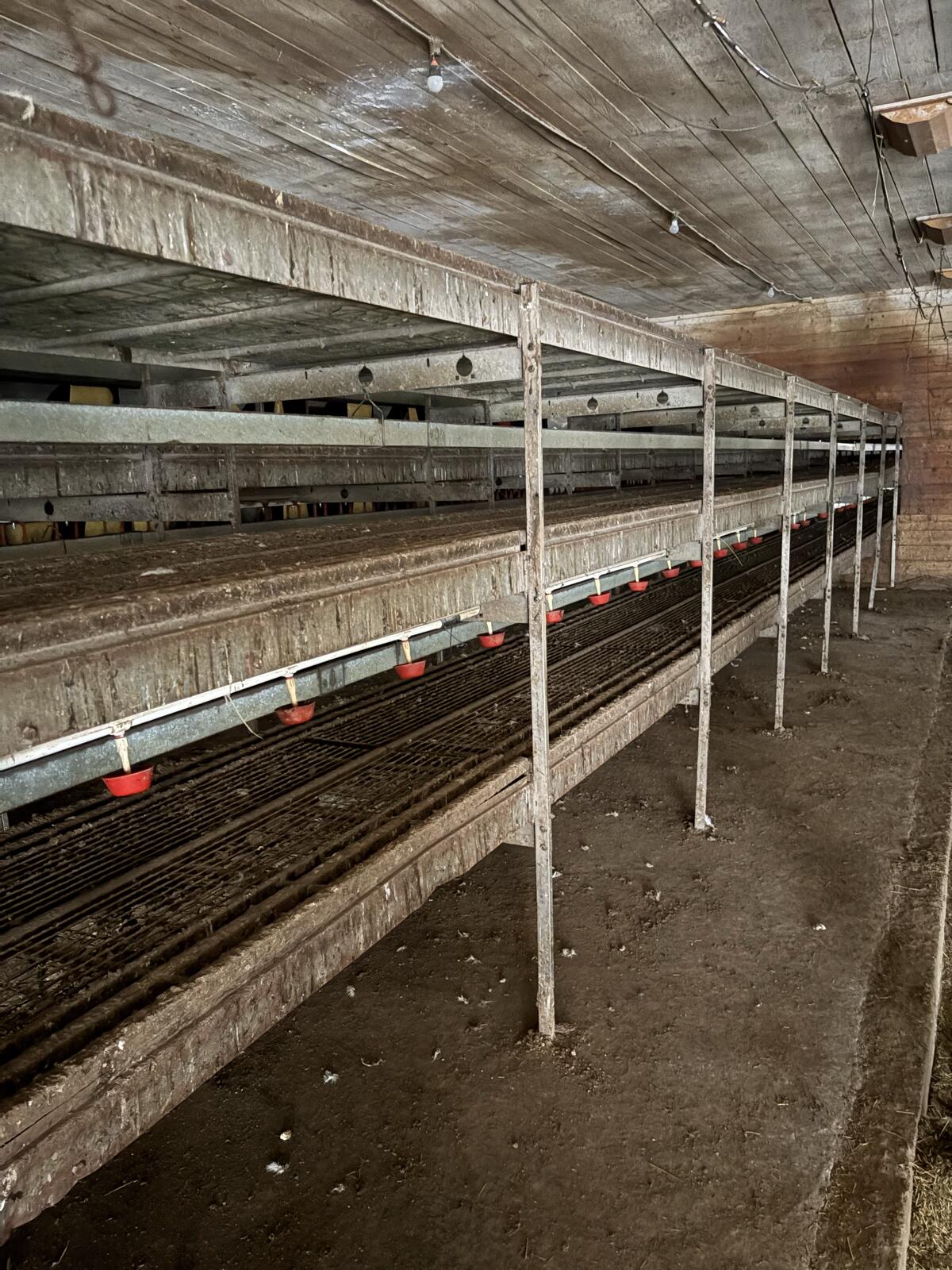 Gebrauchte Hühnerstallanlage zu verkaufen 2