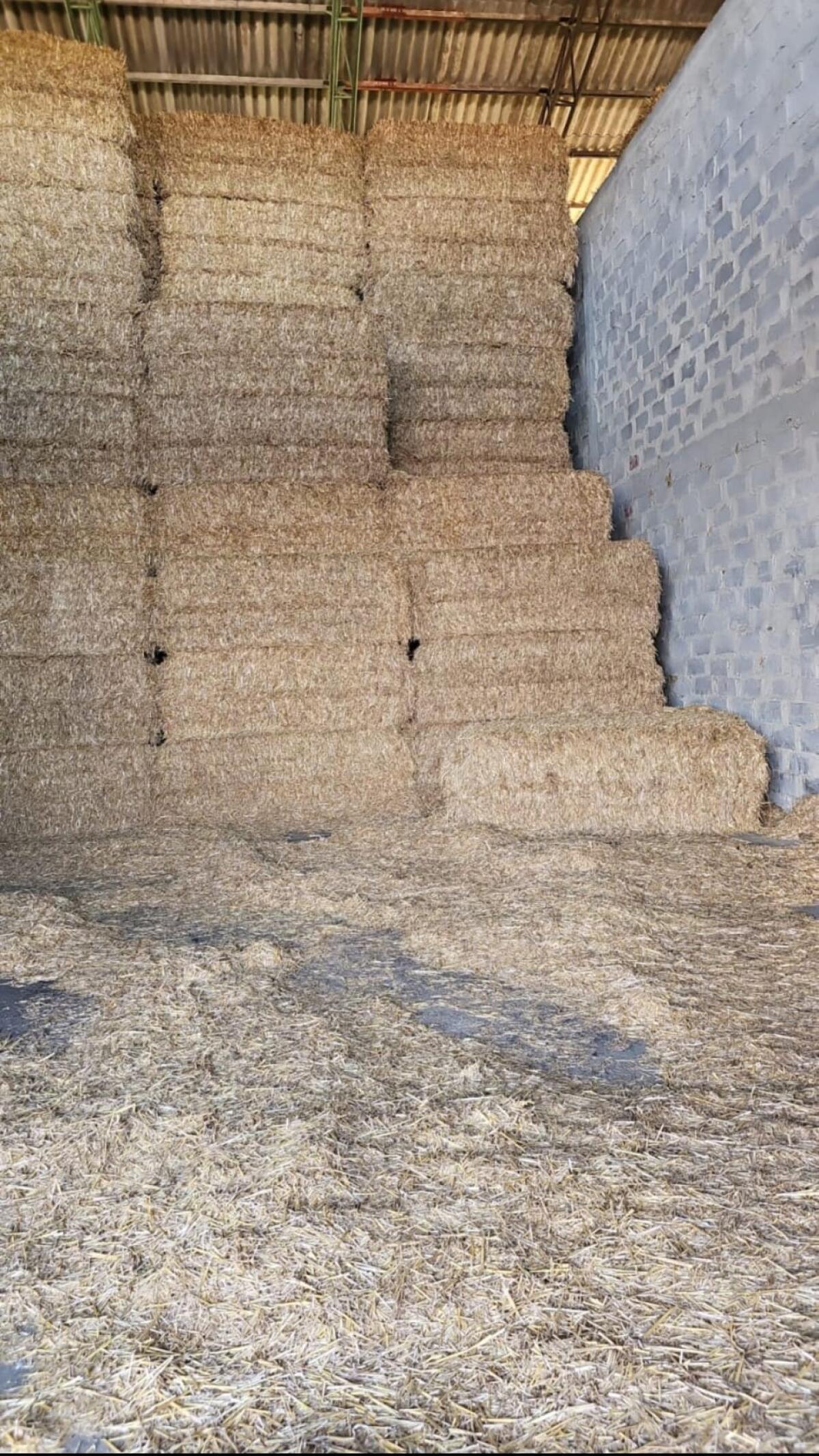 Verkaufe Stroh, Heu, Silageballen und Luzernenheu 3