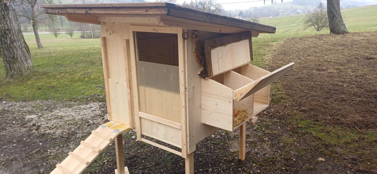 Hühnerstall 5 2