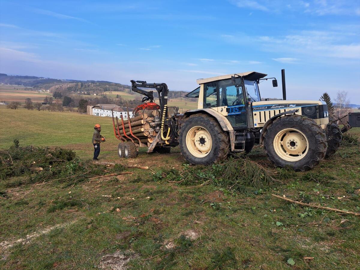 Lamborghini Formula 135 Traktor 2