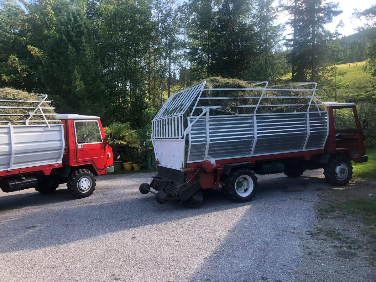 Biete Reform Muli 50 2