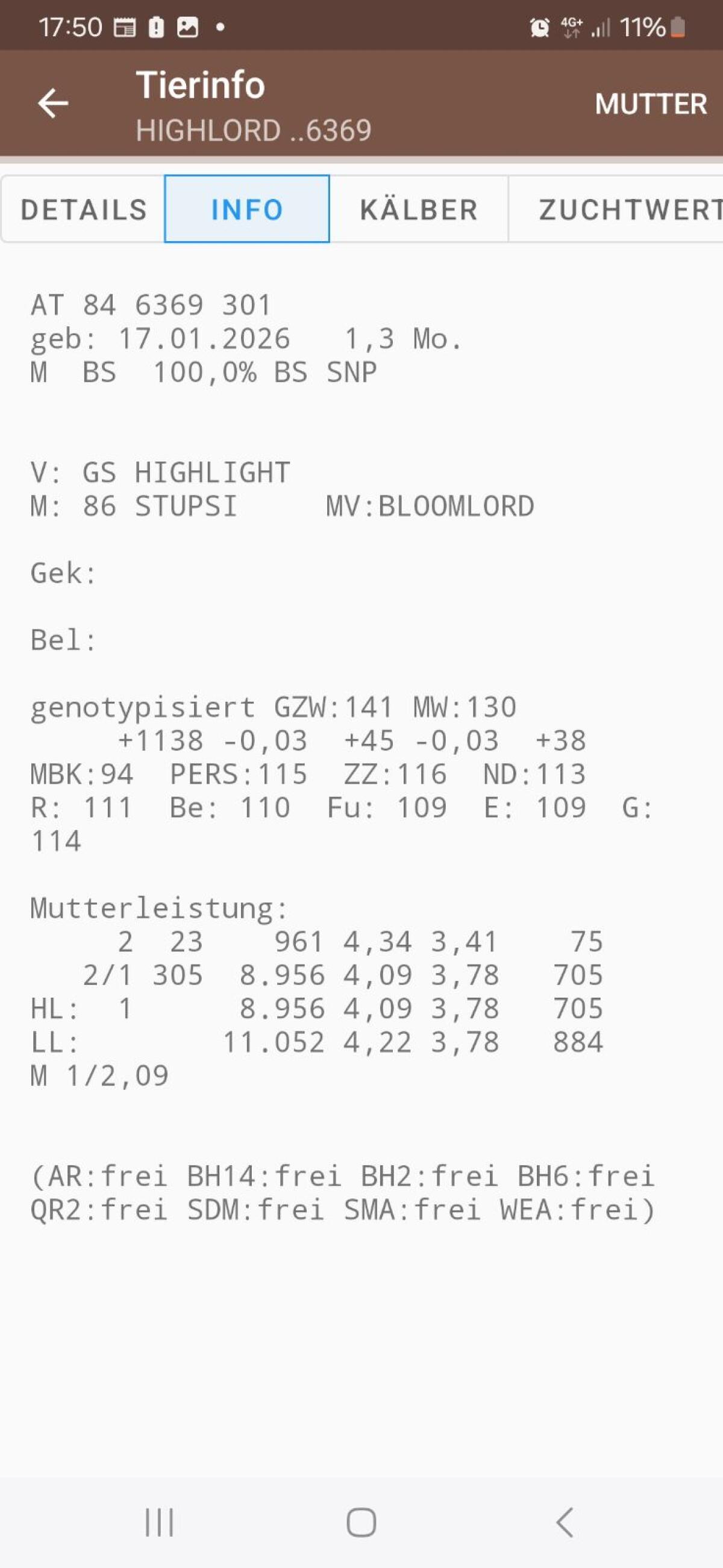 Braunvieh Zuchtstierkalb GZW 141 2