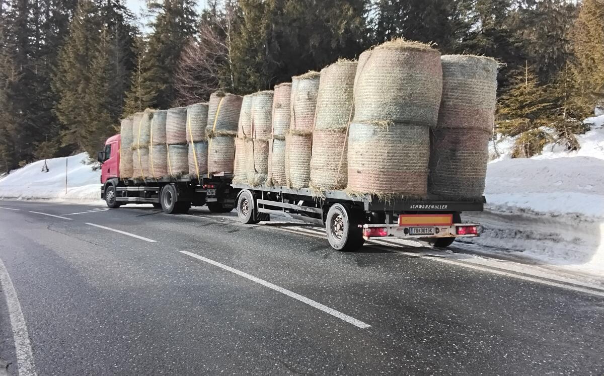 Jedes Heu für dein Vieh, gut und preiswert mit Zustellung 2