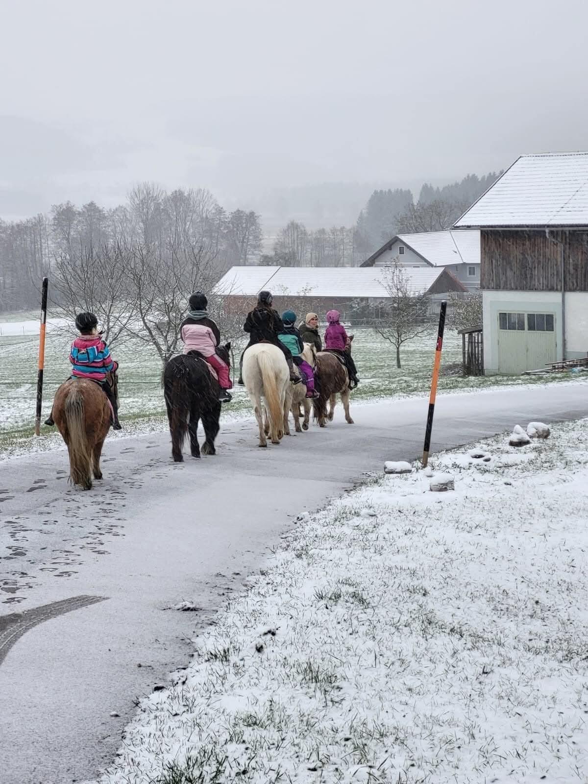 Ponys aus Kinderreitschule 2