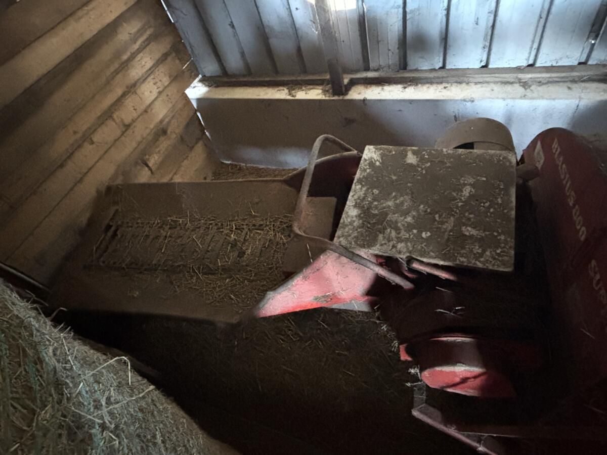 Epple Standhäcksler mit Motor 3