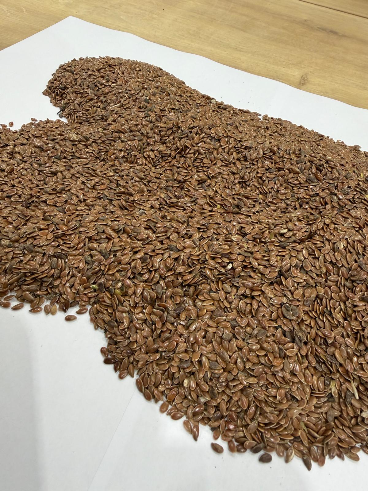 Leinsamen 1.000 kg Big Bag - Ernte 2025 3