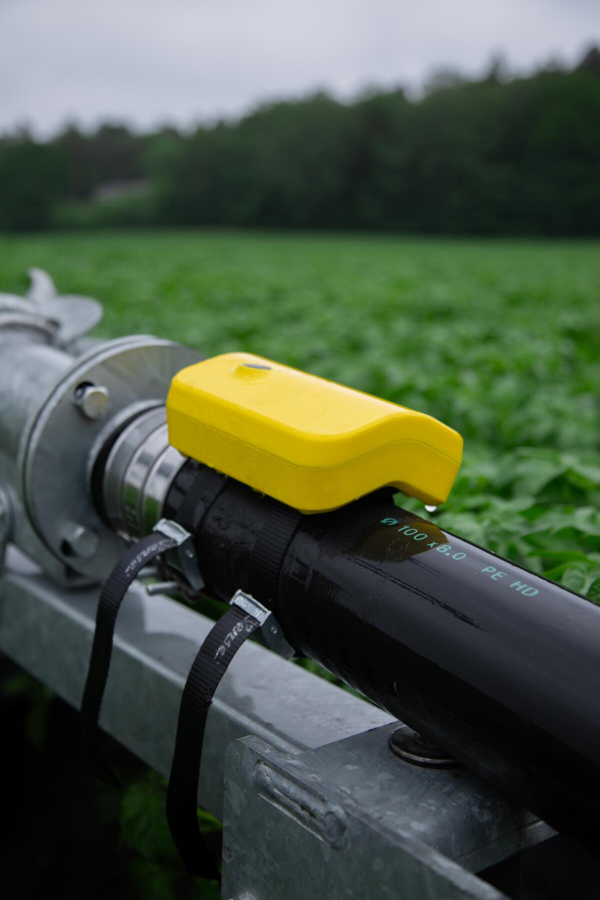 Der 7Sense Bewässerungssensor — SMARTES MONITORING 3