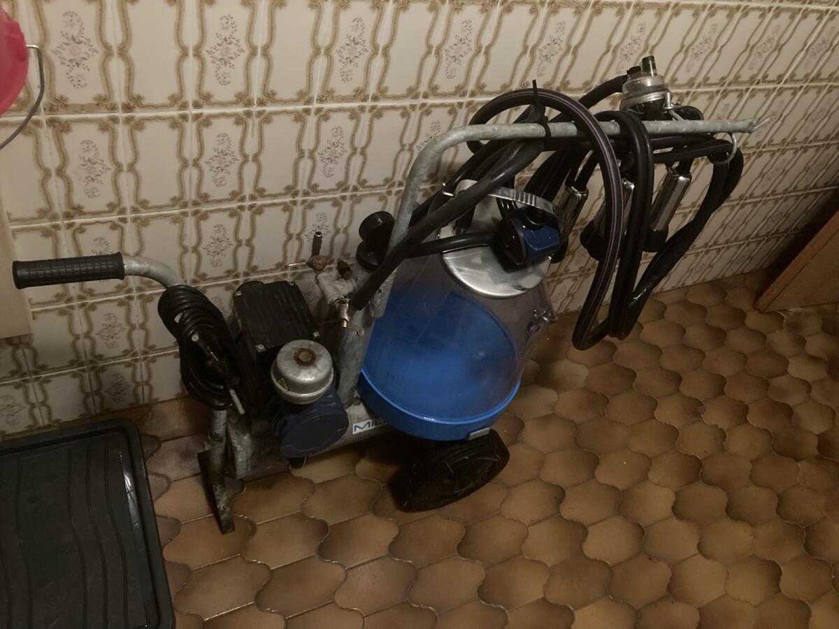 Fahrbare Melkmaschine 2