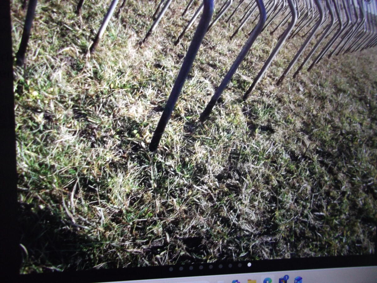 Verkaufe Striegl, 6 m AB, mit neuwertigen Zinken. 3