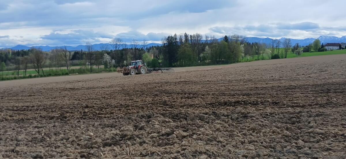 Gülleverschlauchen mit Schleppschlauch, Schleppschuh und Injektor 2