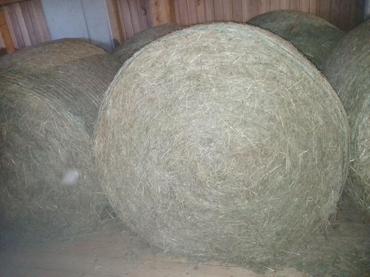 Grummetballen 2
