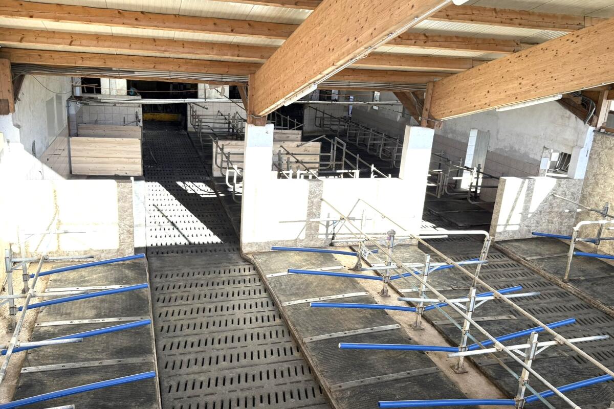 Erbhof sucht Nachfolger, Bauernhaus mit Rinderstall 2