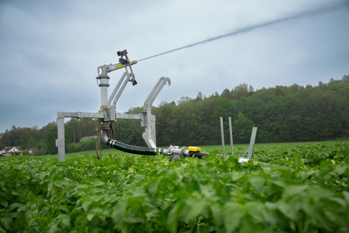 Der 7Sense Bewässerungssensor — SMARTES MONITORING 2