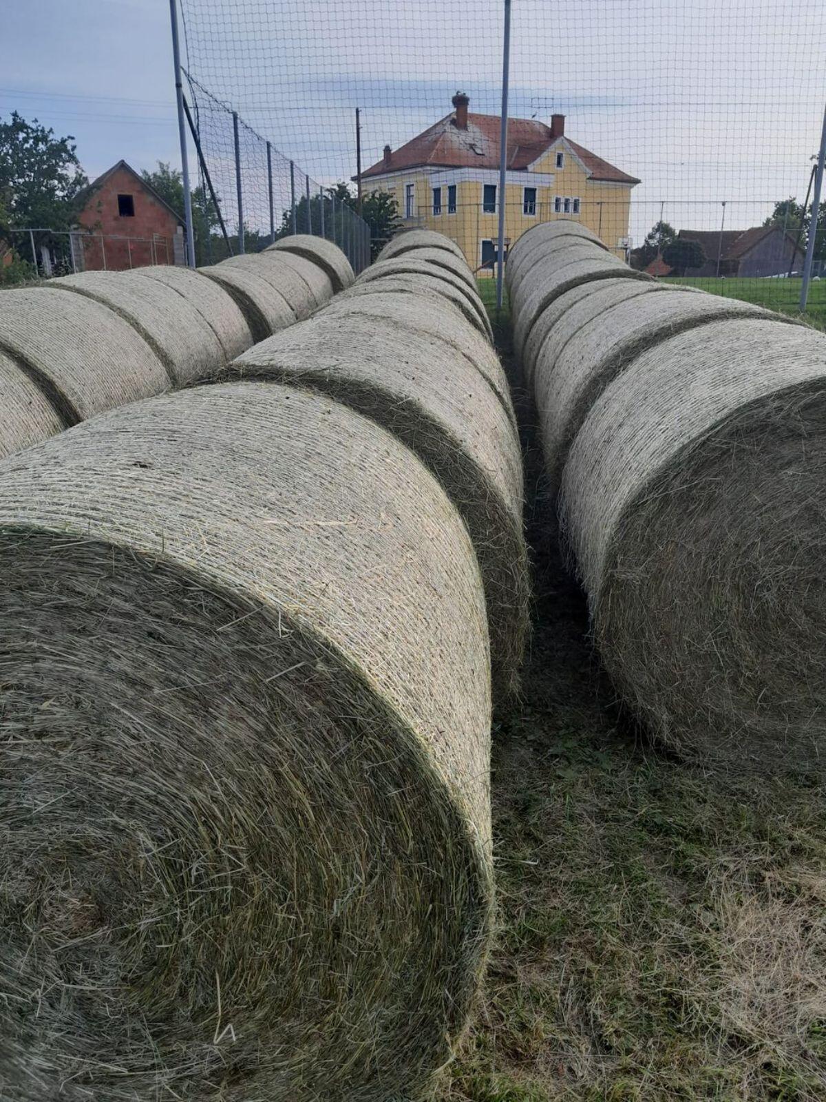 Siloballen 5. Schnitt 3