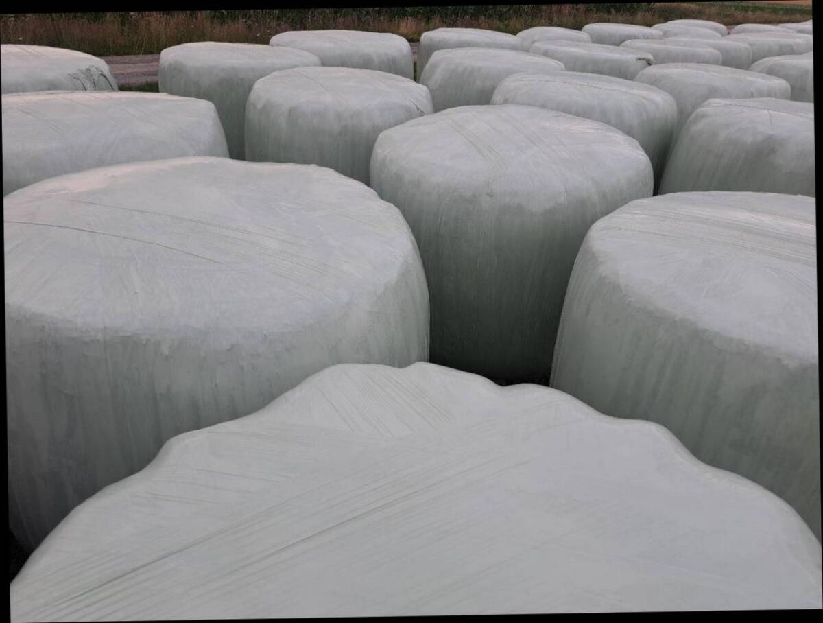 Silageballen, Siloballen, Grassilage 2