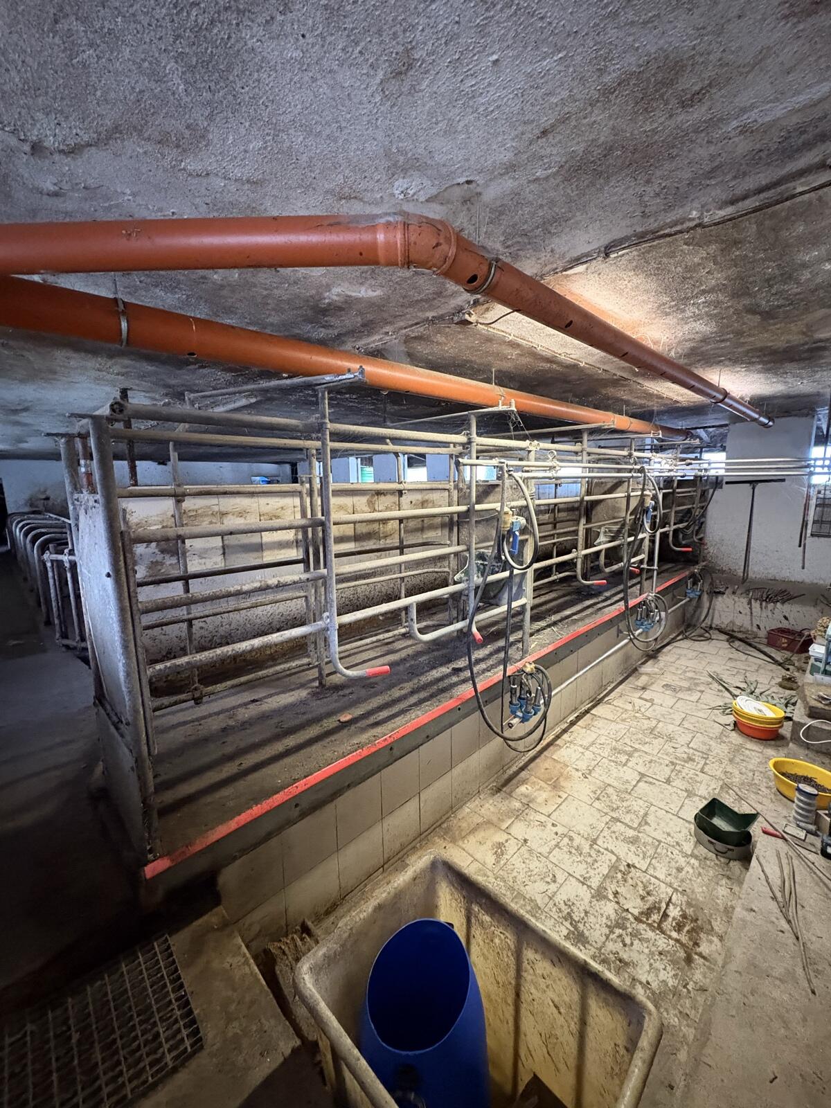 Komplette Melkanlage, 3er Tandem 2