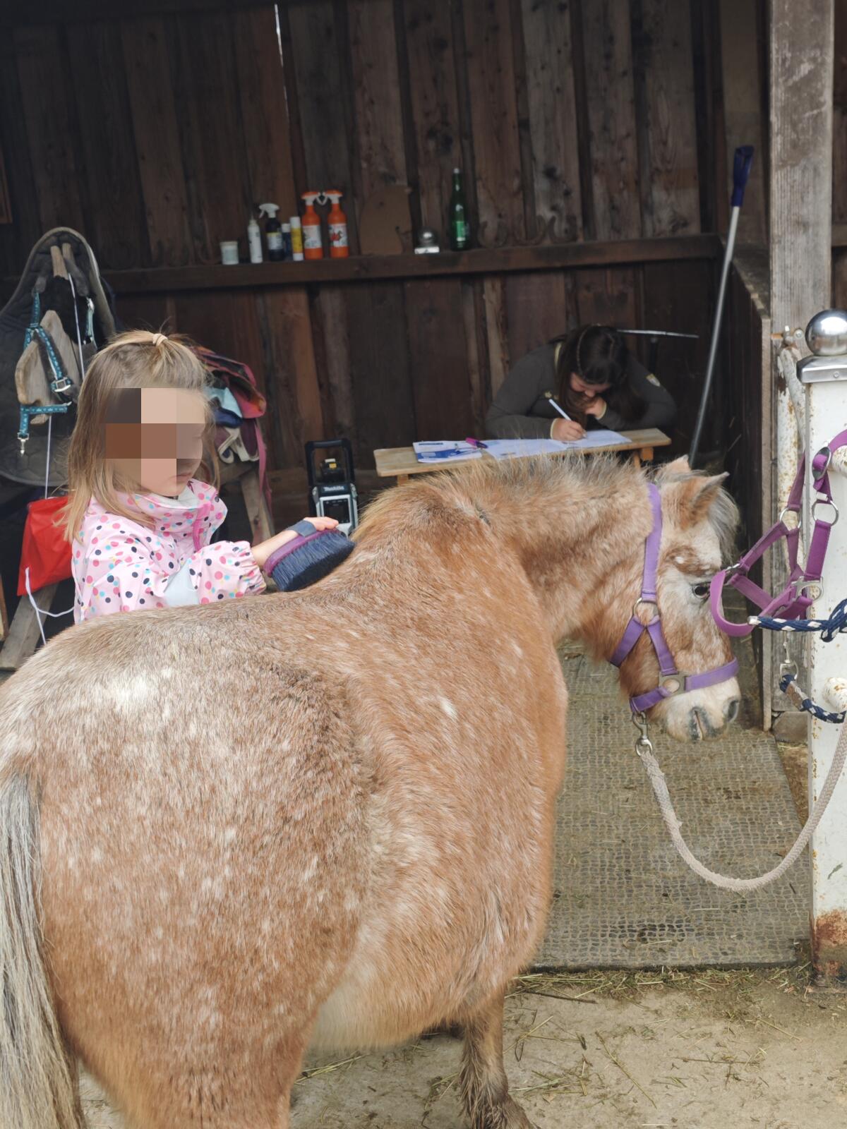Ponys aus Kinderreitschule 3