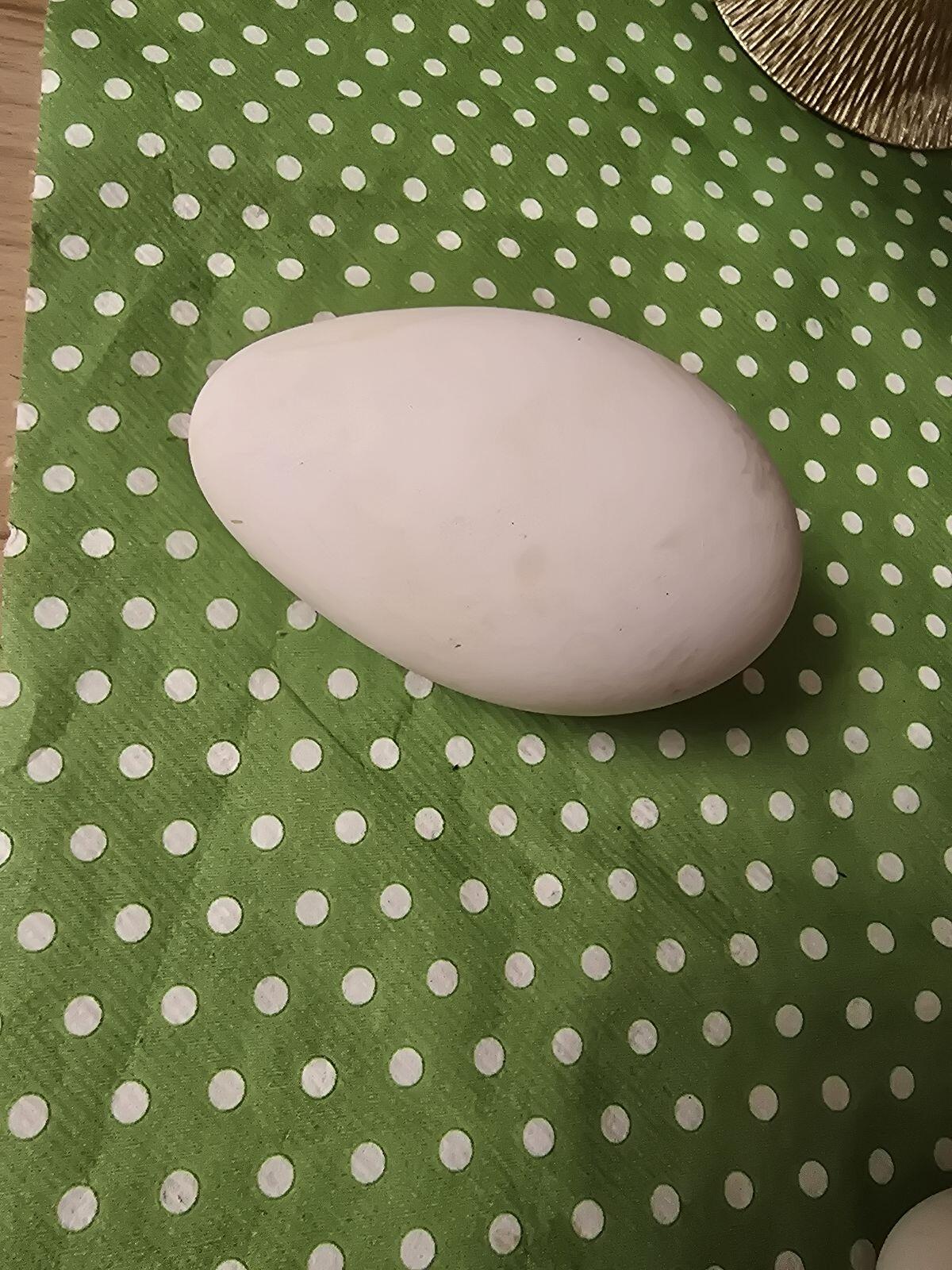 Gänseeier aus weißer Landgans und Graugans gemischt 2