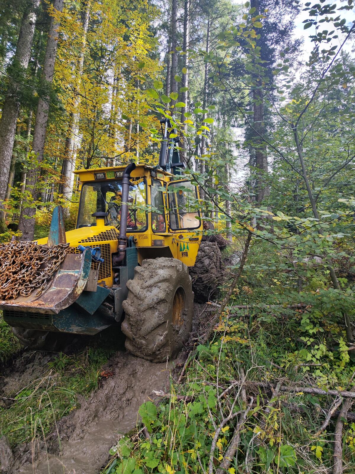 Forstschlepper HSM 904 3