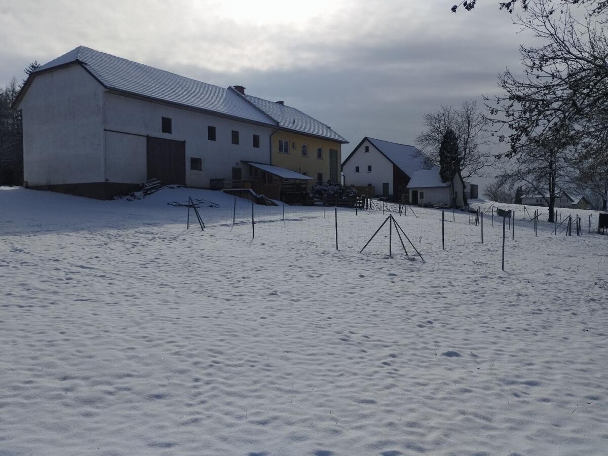 Pferdeeinstellplatz für Wallach 2