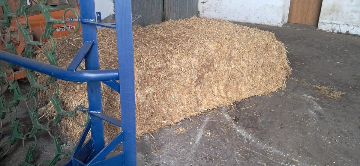 Stroh Quaderballen 3