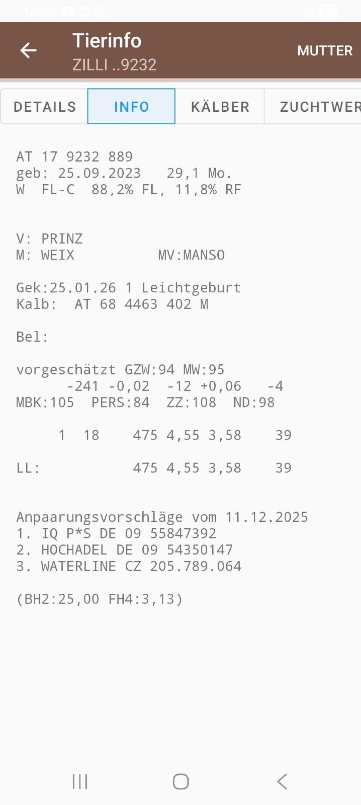 Fleckvieh 2