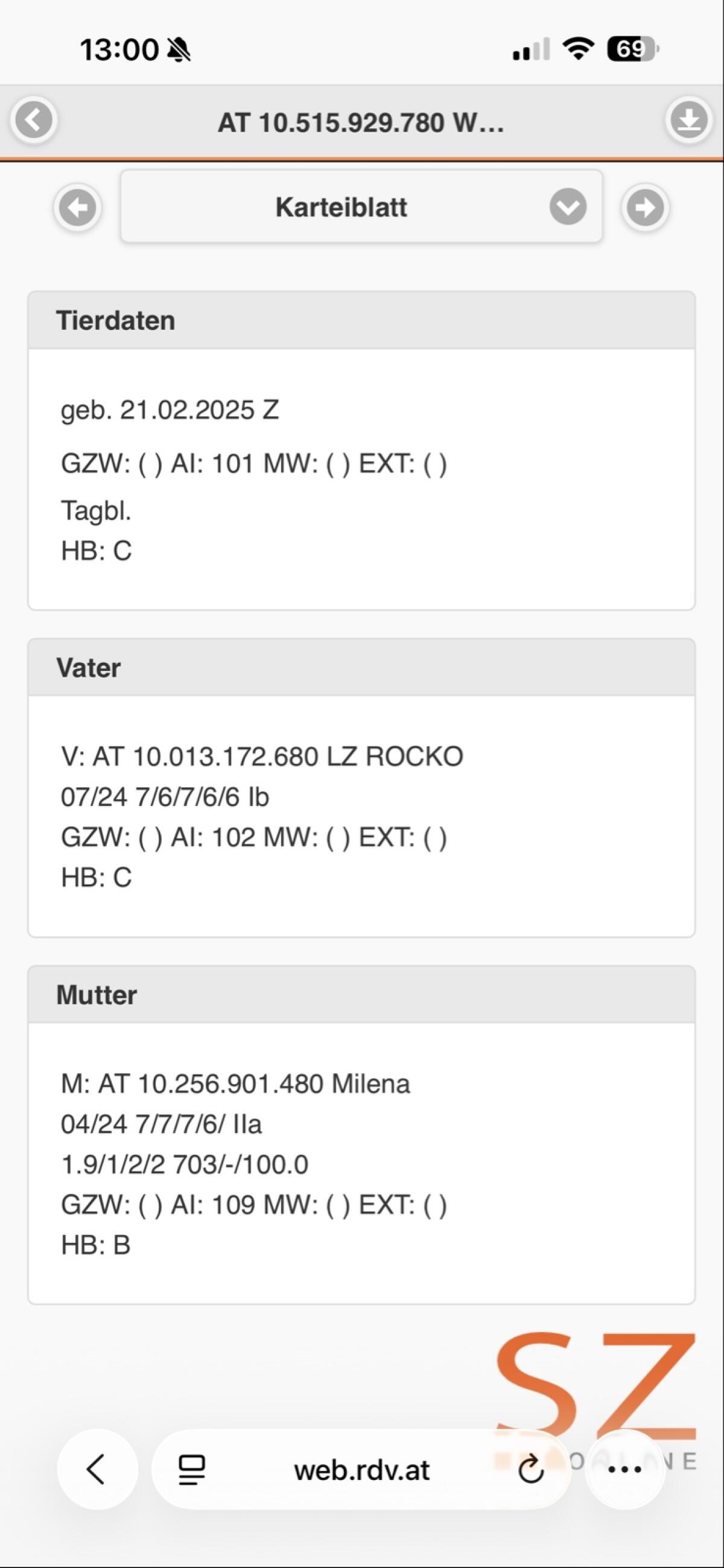 Verkaufe Pfauenziegen-Herde 3