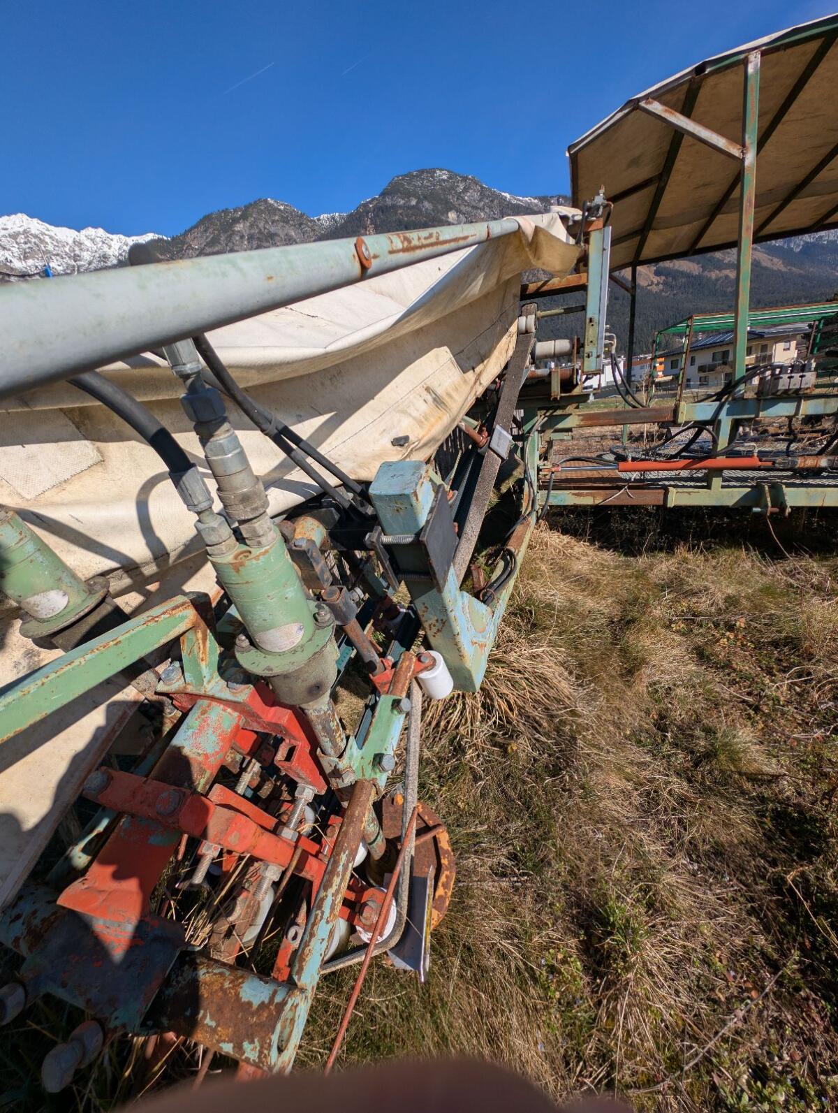 Schnittlauch, Kräutervollernter 2