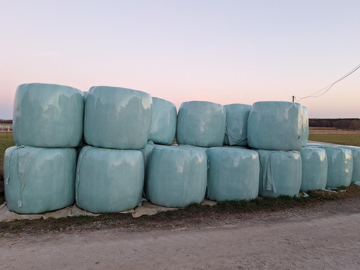 Siloballen 2. Schnitt 2