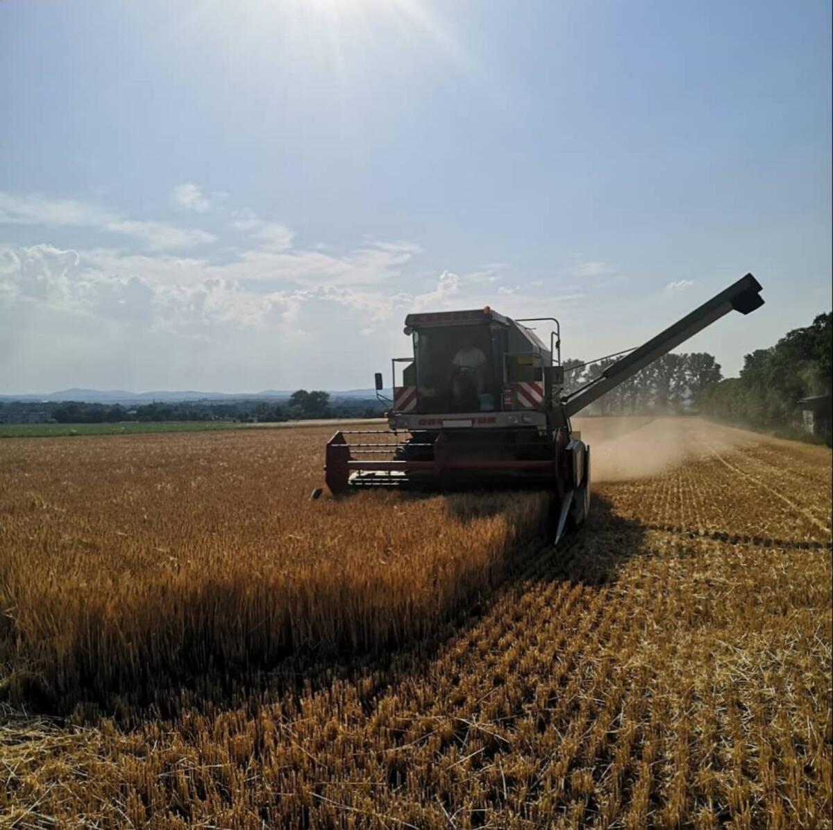 Suche Ackerflächen sowie gerodete Weingartenflächen 3