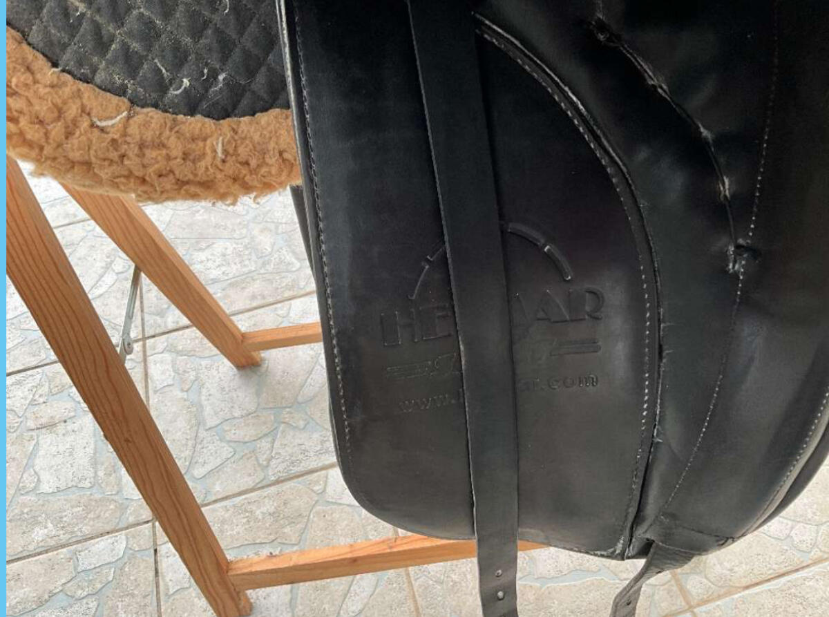 Isländer Sattel Trieb Hevmar 3