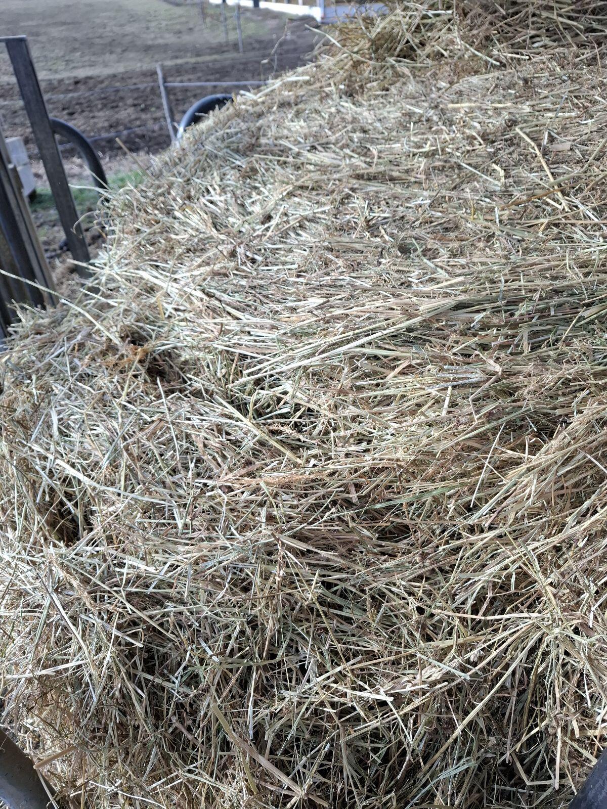 Heu Rundballen für Pferde 2