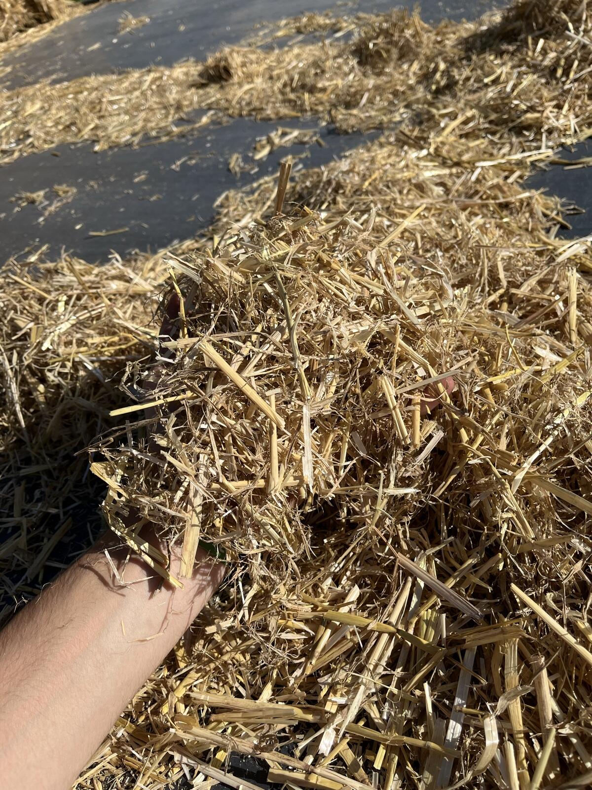 Stroh Ernte 2025 2