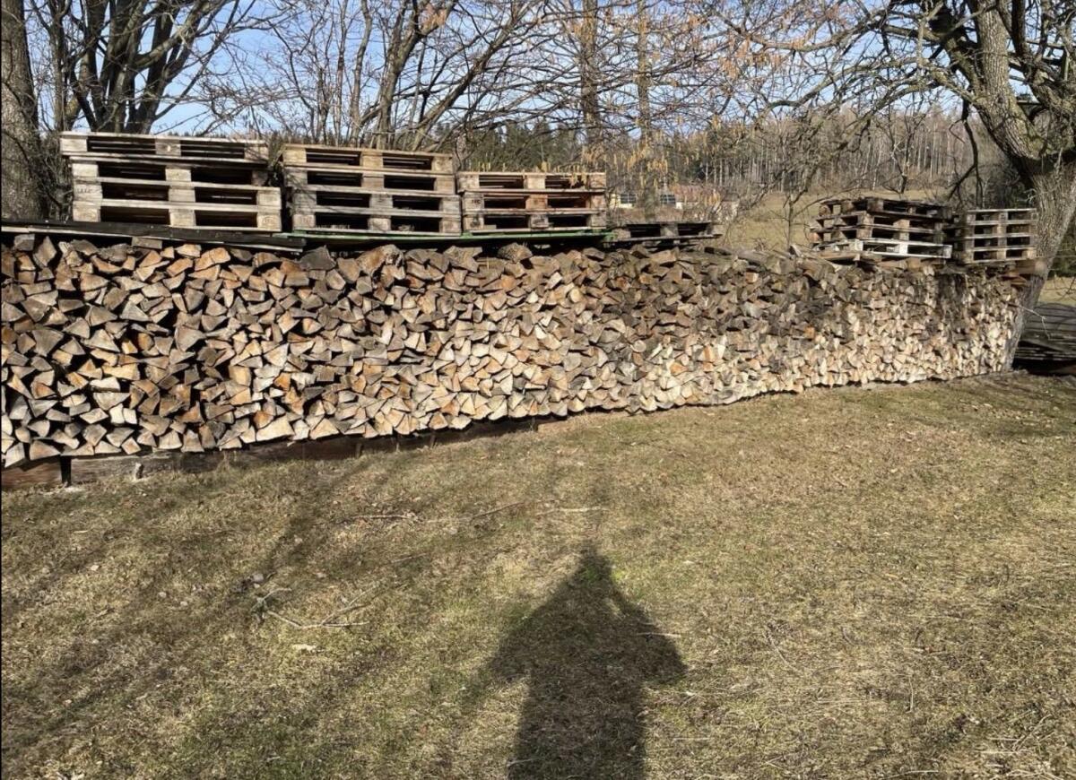 Brennholz Buche 25 cm oder 33 cm 2
