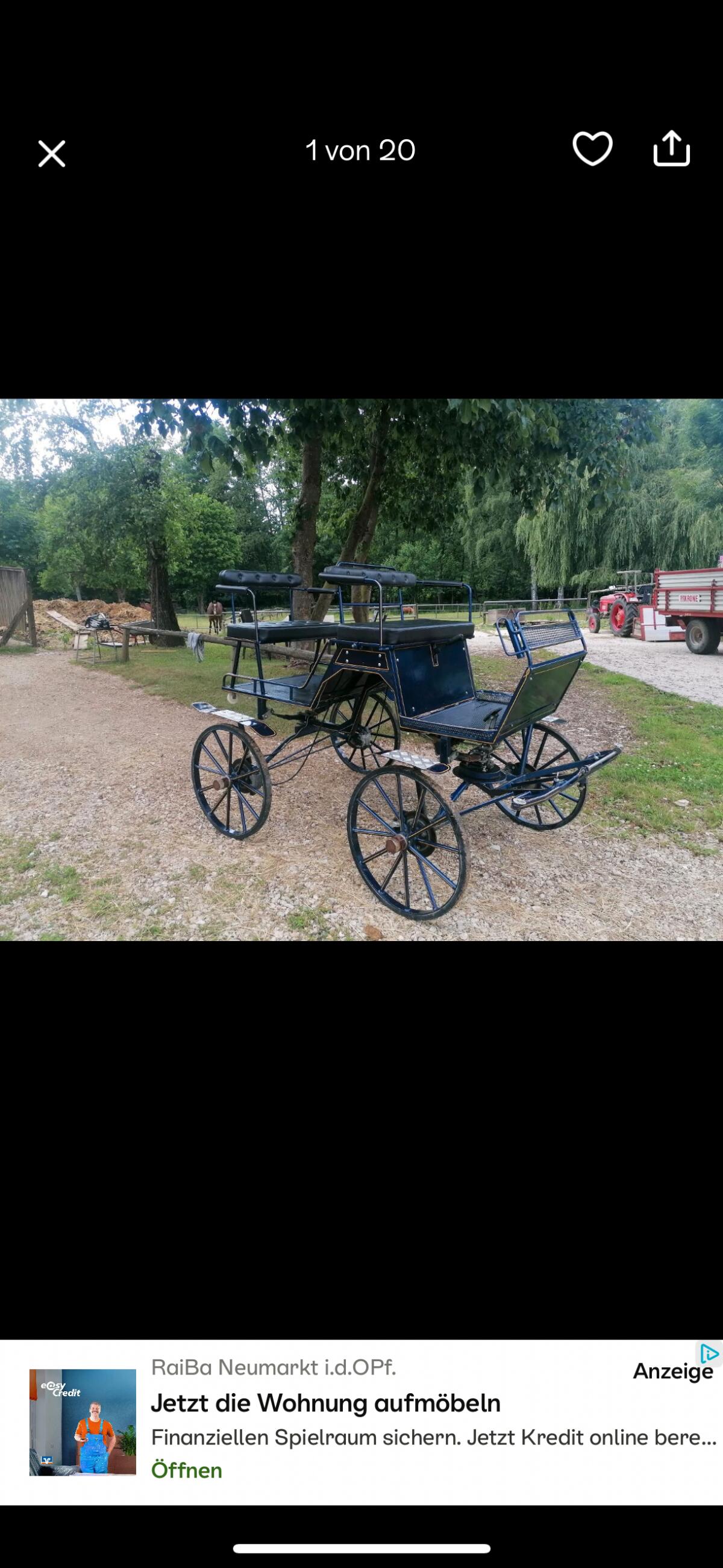 Kutsche Buggy 2