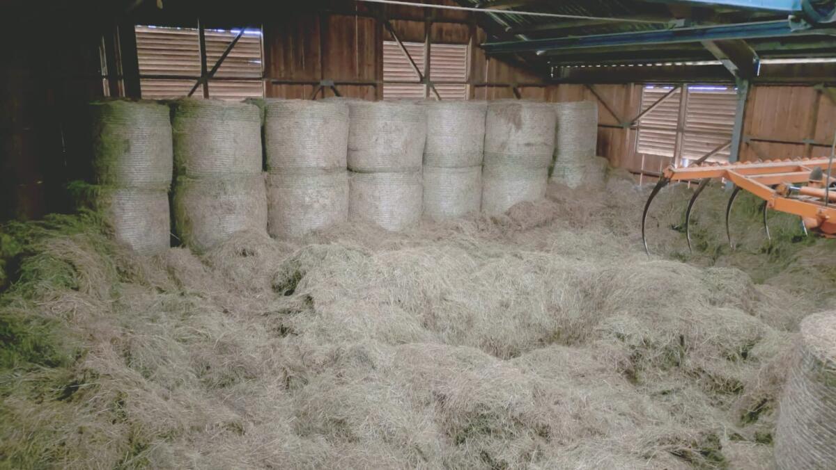 Heu in Ballen zu verkaufen 2