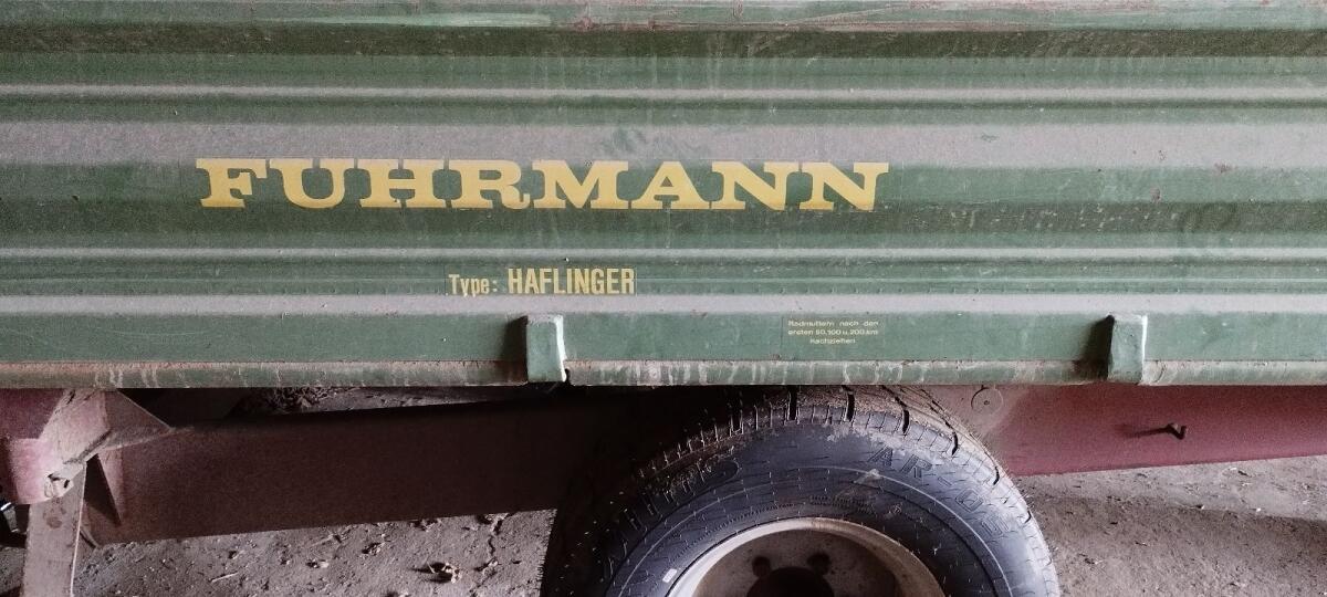 Fuhrmann Kipper Haflinger 3