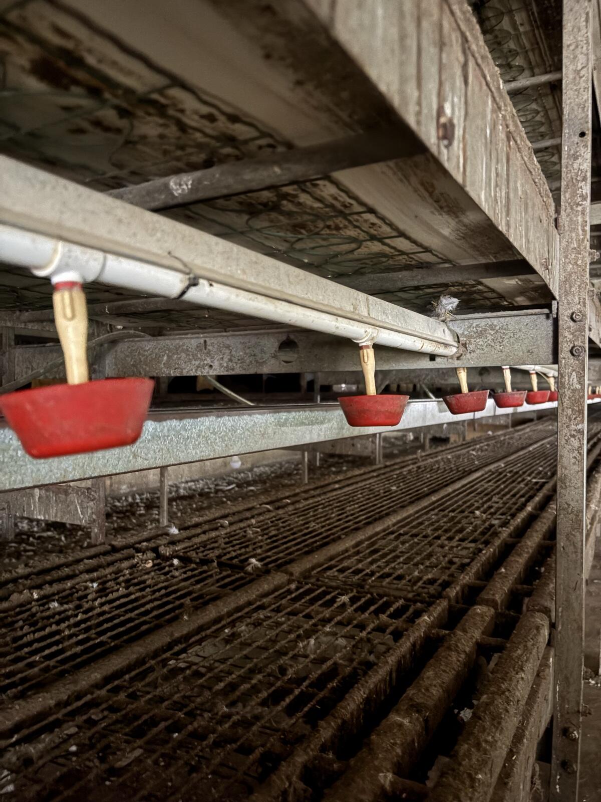 Gebrauchte Hühnerstallanlage zu verkaufen 3