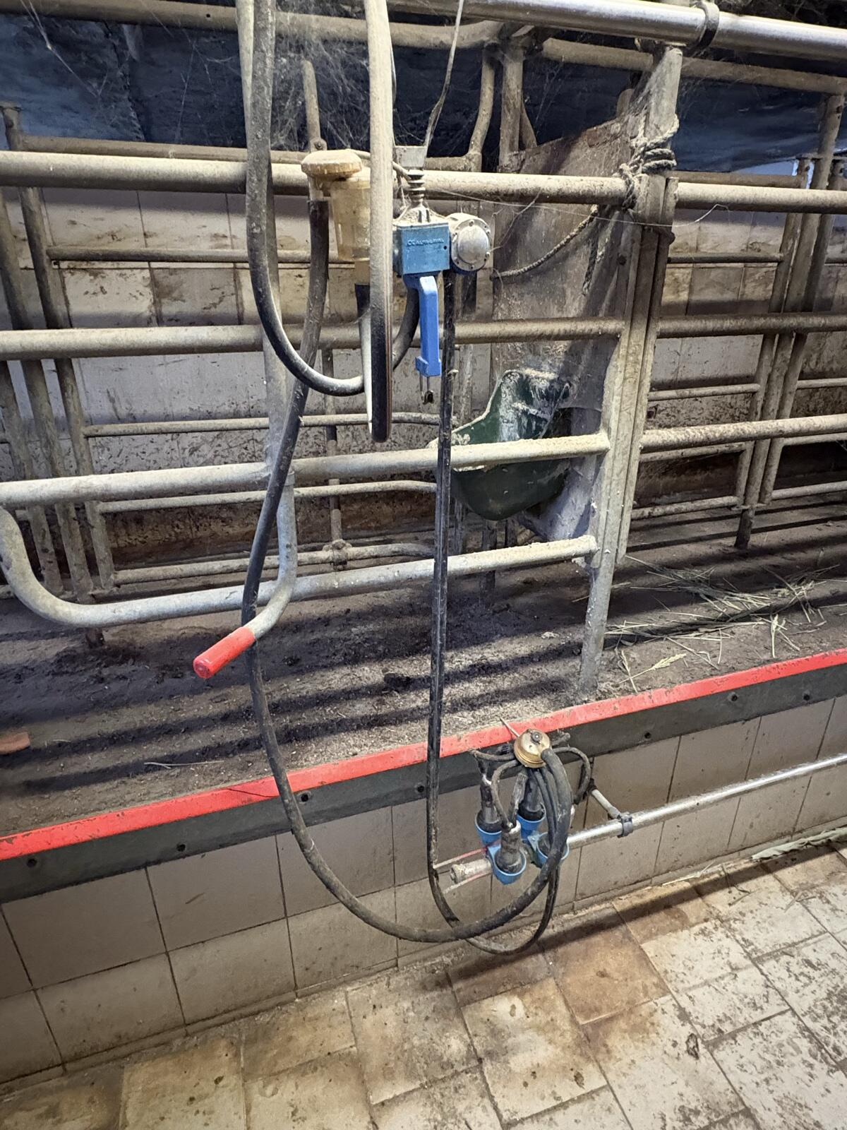 Komplette Melkanlage, 3er Tandem 3