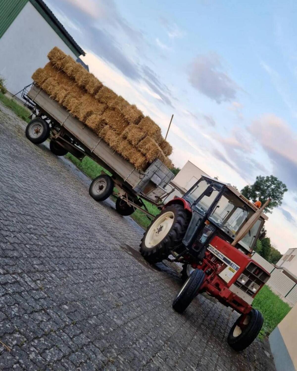 Kleine Stroh- und Heuballen 2