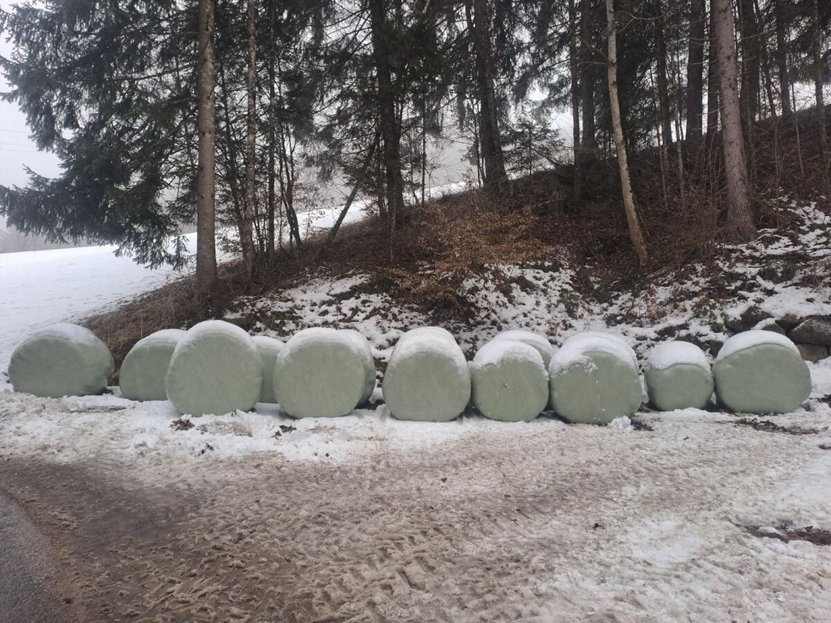 BIO Siloballen 2. Schnitt 2025 2