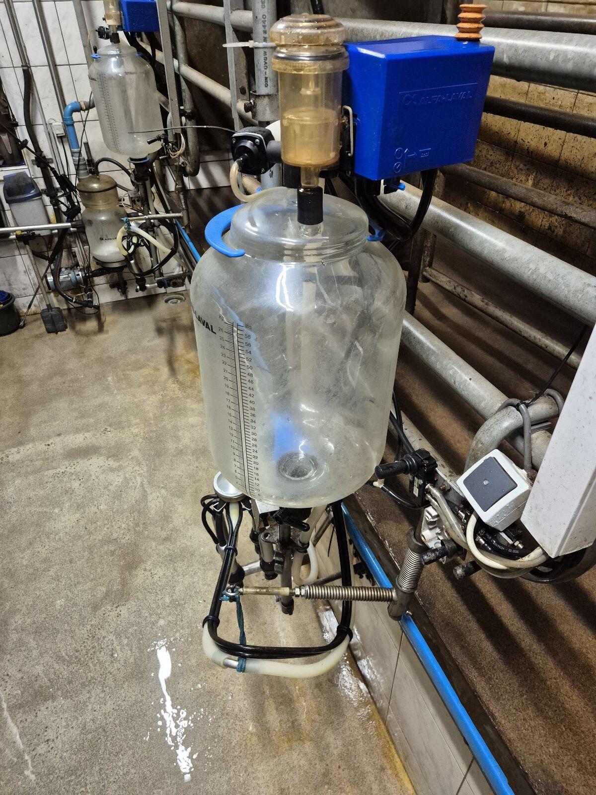 Delaval Melkstand 2x2 Tandem 2