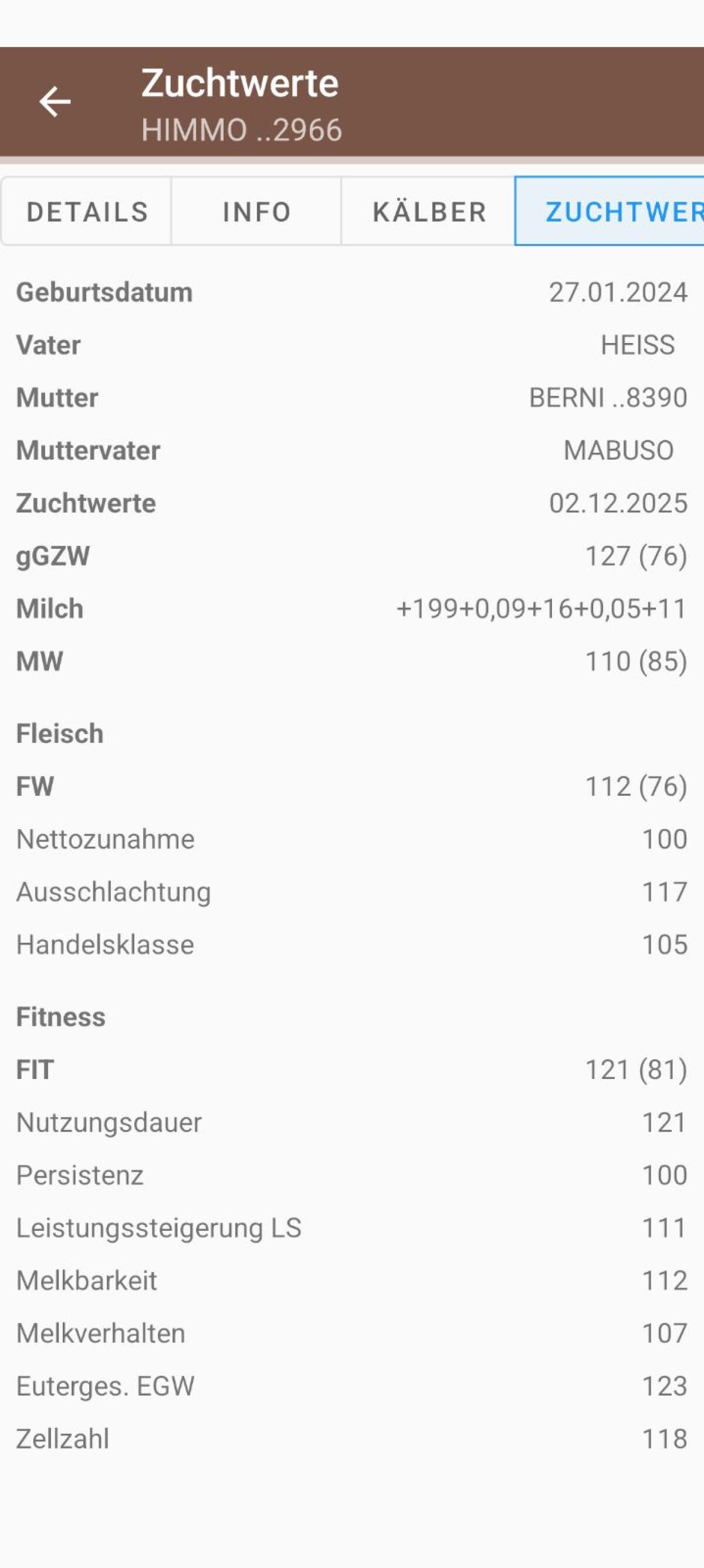FV Zuchtstier 3