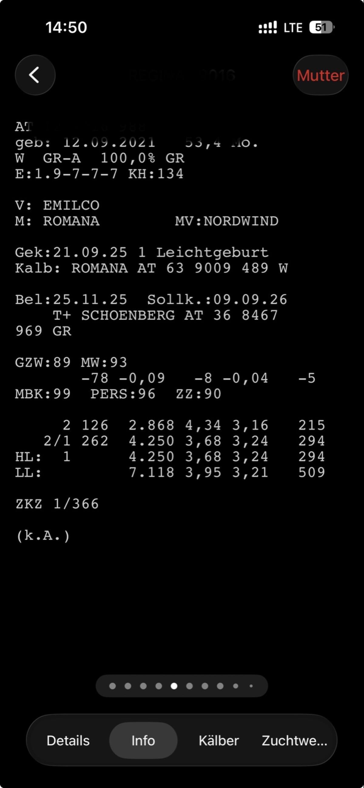 Tiroler Grauviehkuh Bio 2