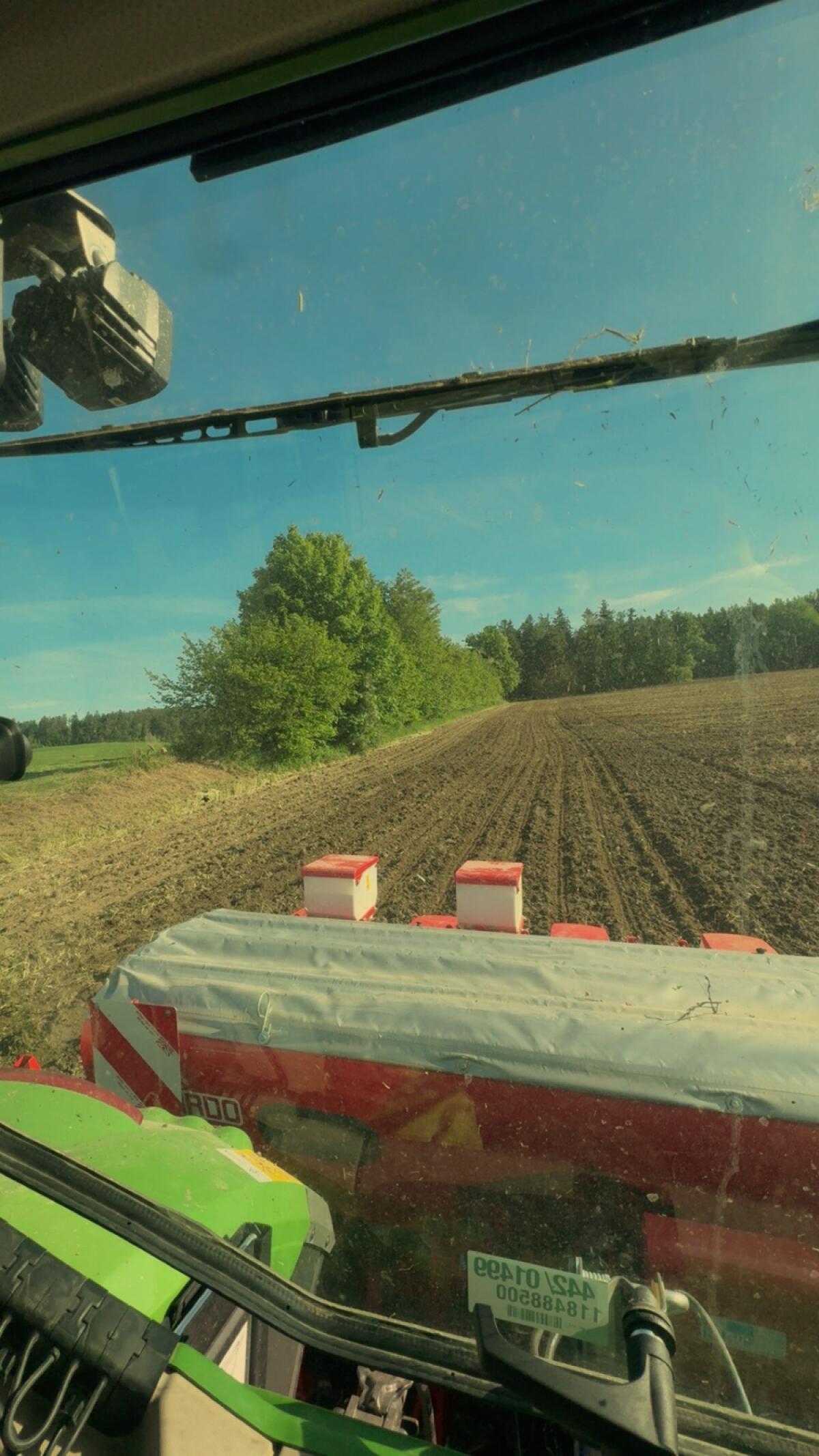 Biete Maisbau mit 5-reihiger Setzmaschine 2