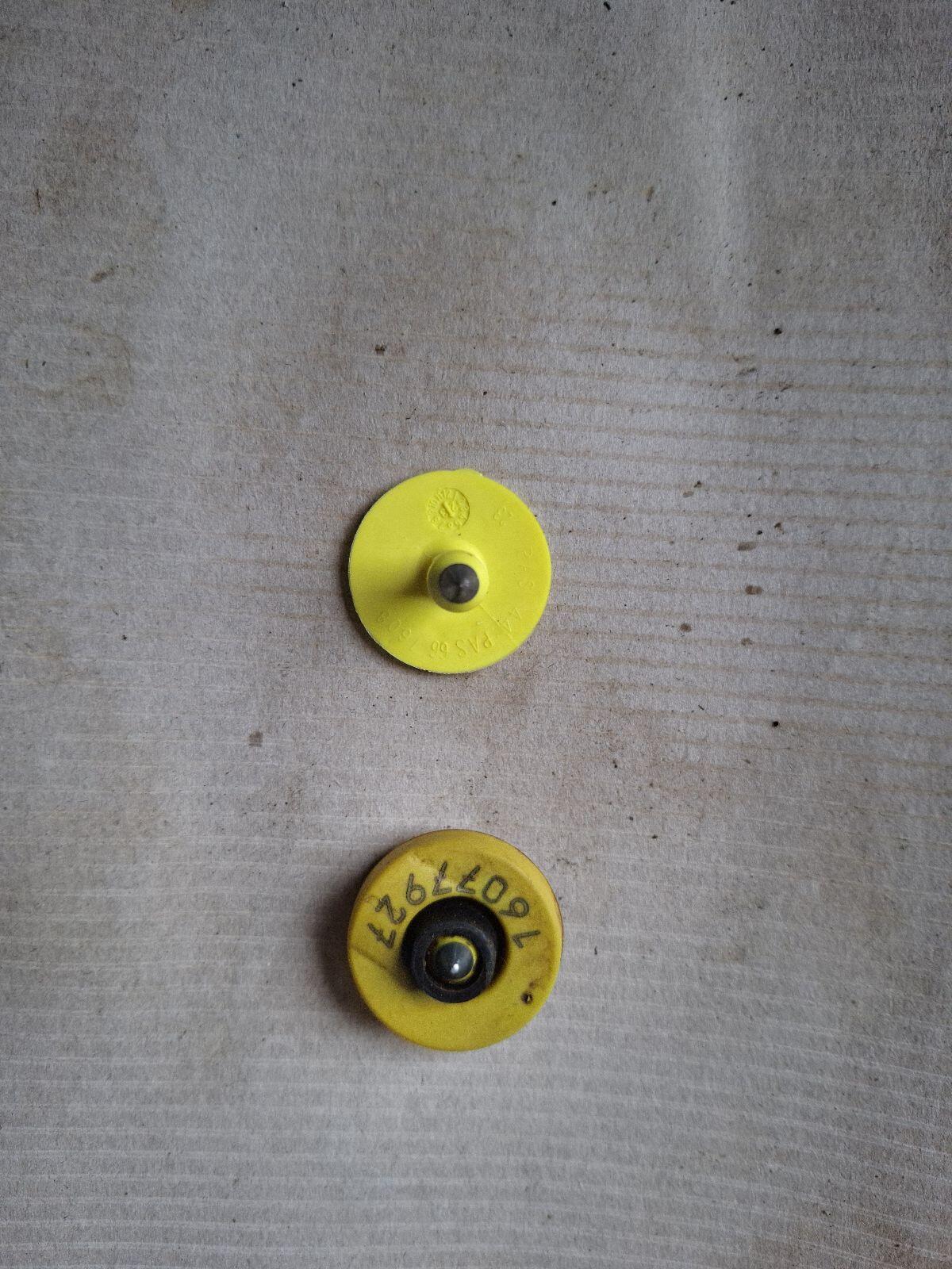 Kraftfutterstation 2