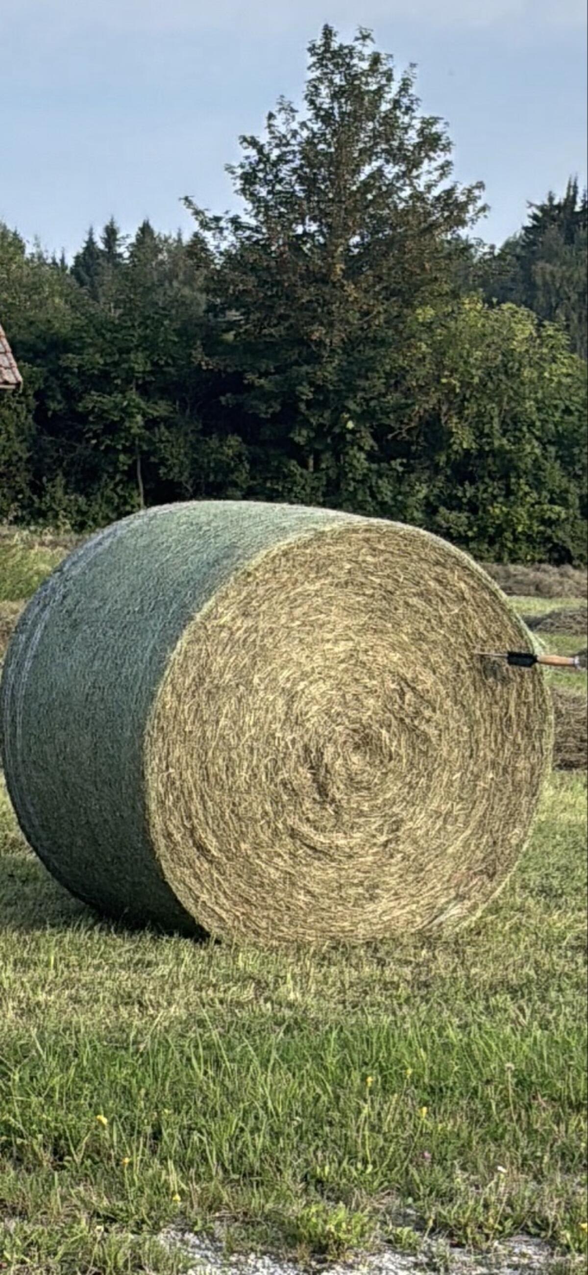 Heu Wiesenheu Futter 2