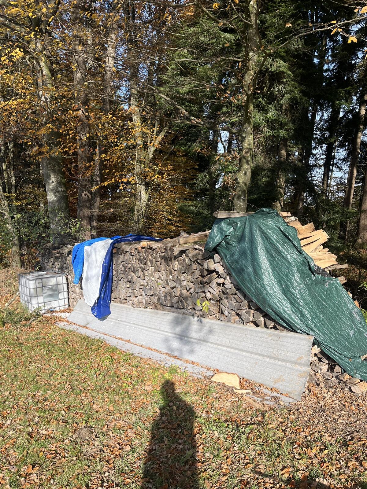Brennholz 2