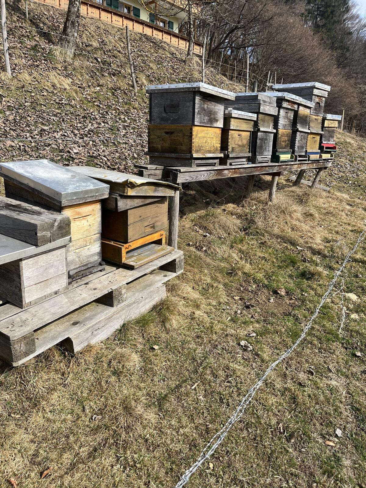 Bienenstöcke 2