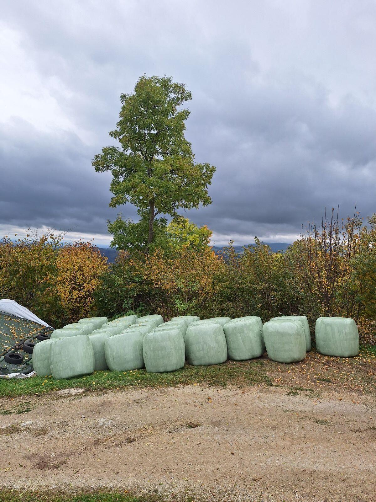 Siloballen Silageballen 2